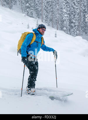 Paese indietro gli sciatori, Selkirk montagne vicino a montaggio remoto Carlyle Lodge; British Columbia; Canada Foto Stock