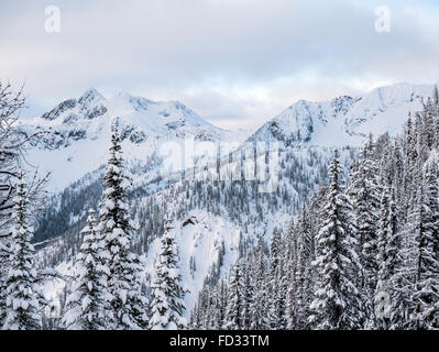 Vista invernale di Selkirk montagne vicino a montaggio remoto Carlyle Lodge; British Columbia; Canada Foto Stock