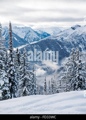 Vista invernale di Selkirk montagne vicino a montaggio remoto Carlyle Lodge; British Columbia; Canada Foto Stock