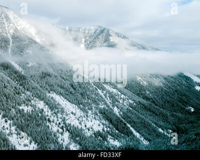 Antenna vista invernale di taglio chiaro logging; Selkirk montagne vicino a montaggio remoto Carlyle Lodge; British Columbia; Canada Foto Stock