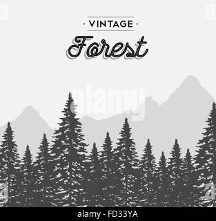 Vintage il concetto di foresta illustrazione con retro etichetta di testo e inverno paesaggio ad albero. EPS10 vettore. Illustrazione Vettoriale