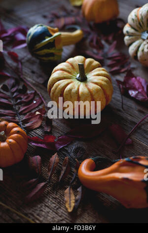 Diverse varietà di zucche e foglie di autunno su una tavola in legno rustico Foto Stock