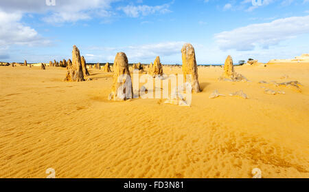 I Pinnacoli sono formazioni di calcare all'interno di Nambung National Park, vicino alla città di Cervantes, Western Australia. Foto Stock