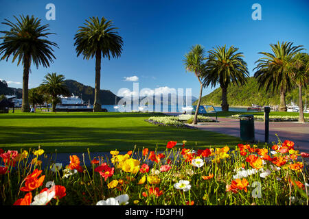 Fiori e palme, Foreshore Riserva, Picton Marlborough Sounds, Isola del Sud, Nuova Zelanda Foto Stock