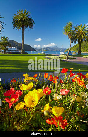 Fiori e palme, Foreshore Riserva, Picton Marlborough Sounds, Isola del Sud, Nuova Zelanda Foto Stock