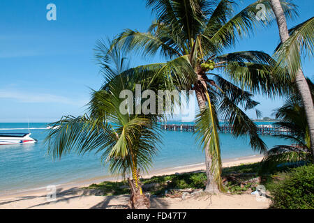 Maenam Beach, Koh Samui, Thailandia Foto Stock