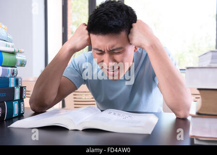 Studente universitario che studia in biblioteca Foto Stock