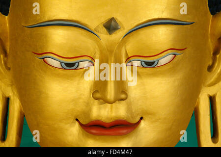 Tempio dei mille buddha. Dashang Kagyu Ling congregazione. Shakyamuni Buddha. Close-up. Foto Stock
