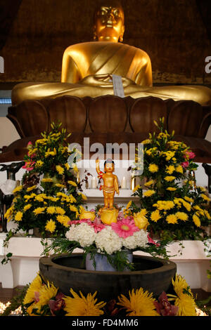 Wesak (Buddha il compleanno, risveglio & nirvana) celebrazione presso il grande tempio buddista. (Grande Pagode de Vincennes). Foto Stock