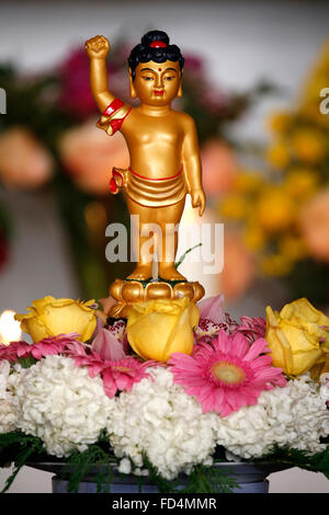 Wesak (Buddha il compleanno, risveglio & nirvana) celebrazione presso il grande tempio buddista (Grande Pagode de Vincennes). Foto Stock