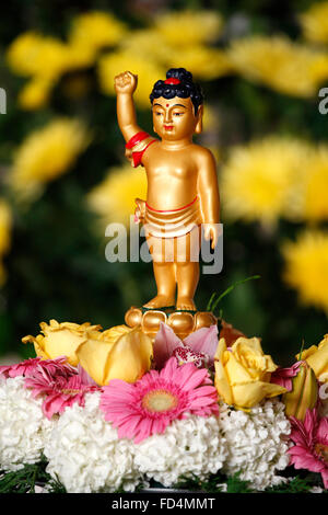 Wesak (Buddha il compleanno, risveglio & nirvana) celebrazione presso il grande tempio buddista (Grande Pagode de Vincennes). Foto Stock