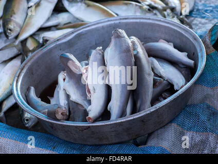 Gli squali senza pinne e code in un mercato del pesce, Hormozgan Bandar Abbas, Iran Foto Stock