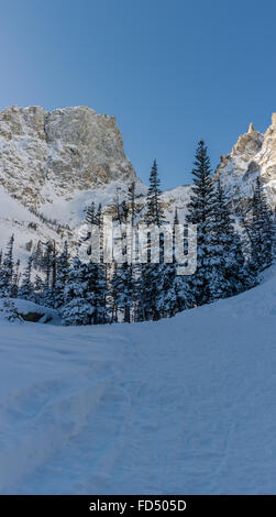 Scalata di un snow drift in Colorado Montagne nella neve profonda con neve coperto da alberi di pino e montagne Foto Stock