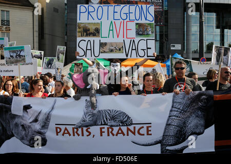 Global March per elefanti e rinoceronti. La Giornata mondiale dell'animale. Foto Stock