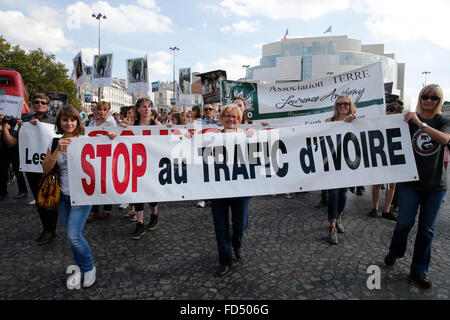 Global March per elefanti e rinoceronti. La Giornata mondiale dell'animale. Foto Stock