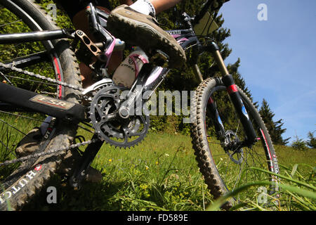 Dre dans le l'Darbon : mountain bike race nelle Alpi francesi. Foto Stock