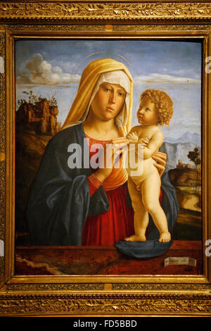 Galleria Nazionale di Bologna. Madonna e Bambino. Giovanni Battista Cima c1495. Foto Stock