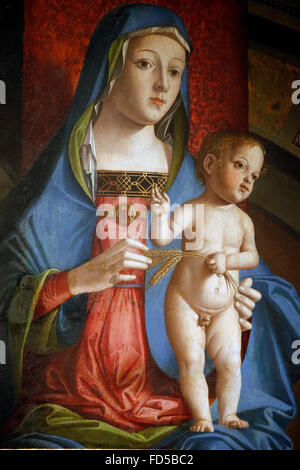 Galleria Nazionale di Bologna. Madonna e Bambino. Marco Palmezzano 1506/1513. Foto Stock