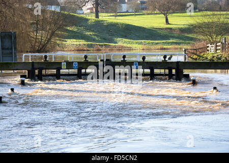 In inverno il sole dopo forti piogge il fiume medway corre alta e inondazioni la serratura a teston Kent REGNO UNITO Foto Stock