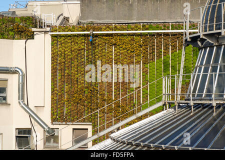 Terrazza sul tetto di Galeries Lafayette shopping mall, a cupola e muro vivente, Parigi, Francia. Foto Stock