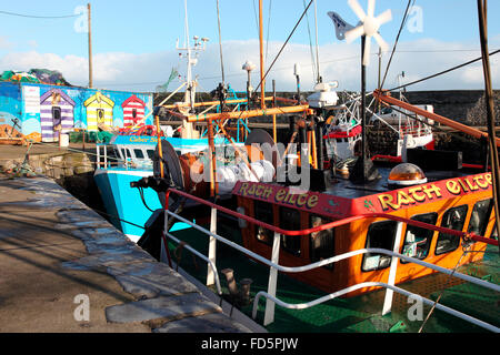 Barche da pesca in Balbriggan Harbour Foto Stock