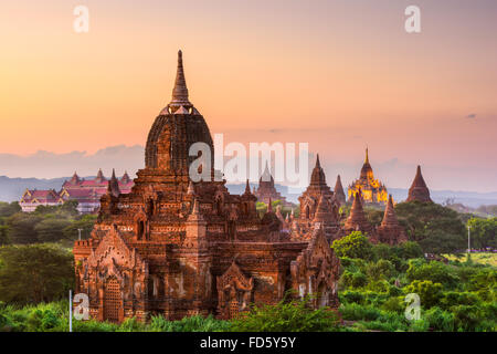 Bagan, Myanmar templi nel parco archeologico al crepuscolo.