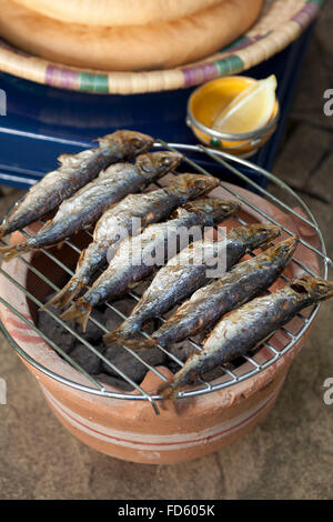 Sardine su un marocchino barbecue nel giardino Foto Stock