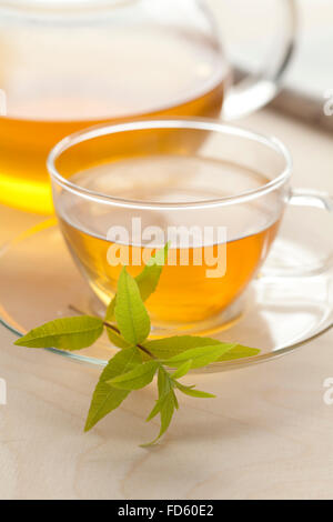 Bicchiere di vetro di vervain tea Foto Stock