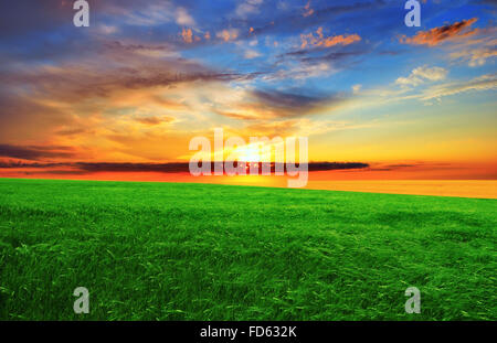 Tramonto spettacolare sopra il campo verde. Paesaggio estivo. Foto Stock