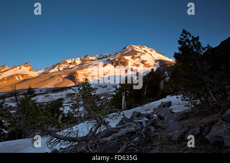 CA02645-00...CALIFORNIA - Alba sul Monte Shasta dalla chiara Creek Trail nel Monte Shasta area selvaggia. Foto Stock