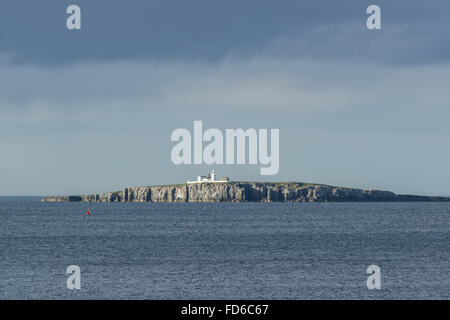 Farne interna Isola, Northumberland Foto Stock