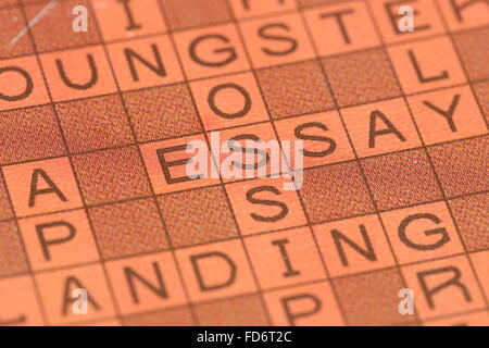 Close up crossword biglietto della lotteria Foto Stock