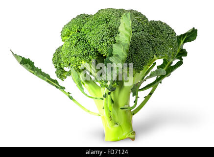 Grandi infiorescenze di broccoli freschi con foglie isolati su sfondo bianco Foto Stock