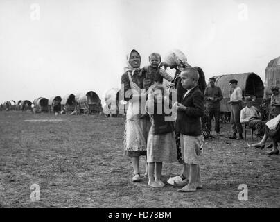 La Bessarabia tedesco famiglia resettlers, 1940 Foto Stock