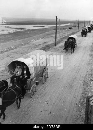 Trek di Bessarabia tedeschi, 1940 Foto Stock