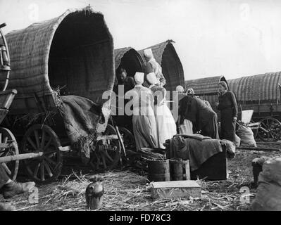 Il reinsediamento dei tedeschi etnici da Bessarabia, la caduta del 1940 Foto Stock