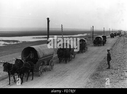 Trek di Bessarabia tedeschi, 1940 Foto Stock