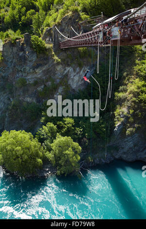 Il Bungy Jumping dallo storico Ponte di Kawarau, Kawarau River, Gola di Kawarau, sud del distretto dei laghi, Isola del Sud, Nuova Zelanda Foto Stock