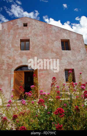 Chard Azienda Agricola Vigna Gibbston Valley, vicino a Queenstown, Otago, Isola del Sud, Nuova Zelanda Foto Stock