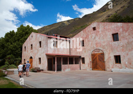 Chard Azienda Agricola Vigna Gibbston Valley, vicino a Queenstown, Otago, Isola del Sud, Nuova Zelanda Foto Stock