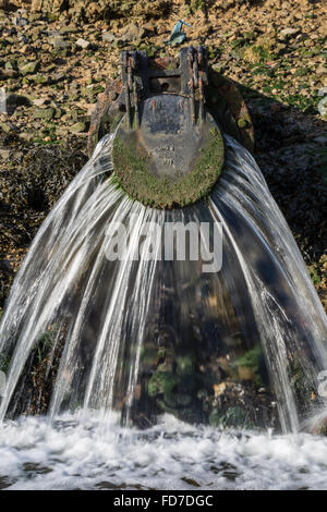 Acqua di scarico scorre fuori un deflusso di acque reflue tubazione verso il fiume nel Devon Regno Unito Foto Stock