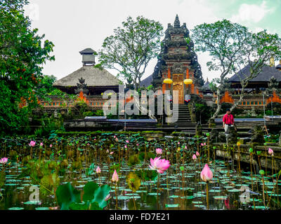 Fiore di loto, fiore di loto (Nelumbo nucifera), Tempio Pura Taman Saraswati, Ubud, Bali, Indonesia, Asia Foto Stock