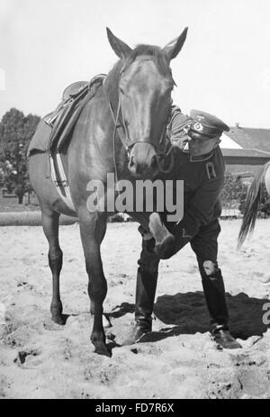 Trooper della Wehrmacht addestramento il suo cavallo, 1936 Foto Stock