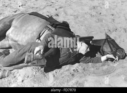 Trooper della Wehrmacht addestramento il suo cavallo, 1936 Foto Stock