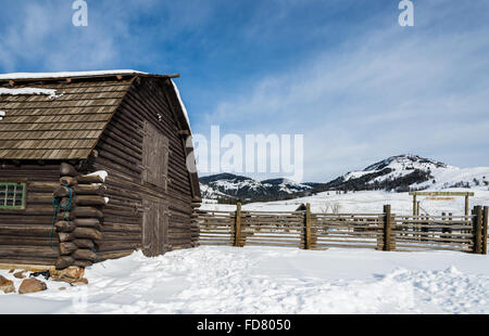 Un vecchio fienile in inverno la neve vicino alla storica Buffalo Ranch . Parco Nazionale di Yellowstone, Wyoming negli Stati Uniti. Foto Stock