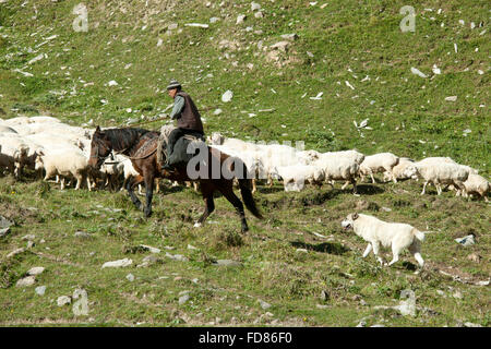 Georgien, Mtskheta-Mtianeti, Schafherde mit Hirten südlich von Stepansminda, Foto Stock