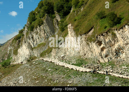 Georgien, Mtskheta-Mtianeti, Schafherde mit Hirten südlich von Stepansminda, Foto Stock