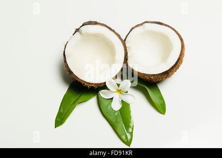 Frutti di noce di cocco e fiore foglia nessuno Foto Stock