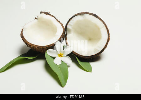 Frutti di noce di cocco e fiore foglia nessuno Foto Stock