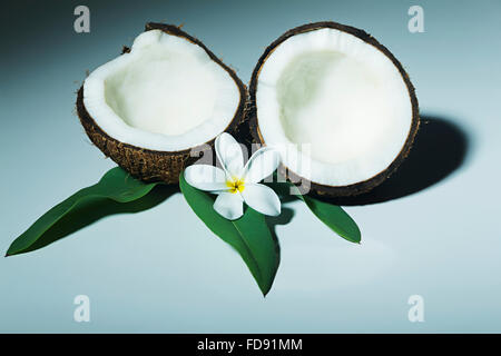 Frutti di noce di cocco e fiore foglia nessuno Foto Stock